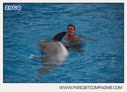 Marineland - Dauphins - Spectacle 14h45 - 0022