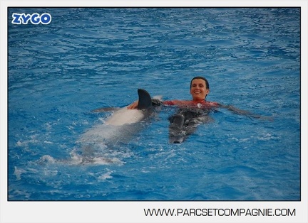 Marineland - Dauphins - Spectacle 14h45 - 0023