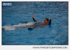 Marineland - Dauphins - Spectacle 14h45 - 0025