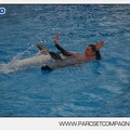 Marineland - Dauphins - Spectacle 14h45 - 0026