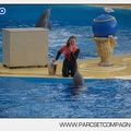 Marineland - Dauphins - Spectacle 14h45 - 0027
