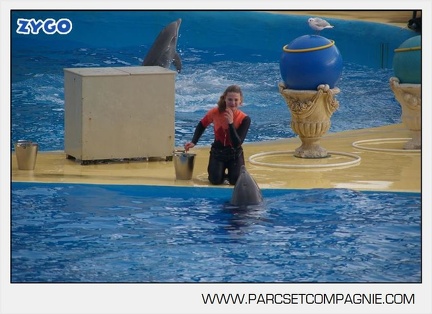Marineland - Dauphins - Spectacle 14h45 - 0027