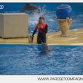 Marineland - Dauphins - Spectacle 14h45 - 0028