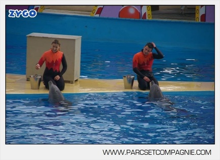 Marineland - Dauphins - Spectacle 14h45 - 0029
