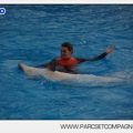 Marineland - Dauphins - Spectacle 14h45 - 0030