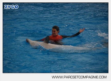 Marineland - Dauphins - Spectacle 14h45 - 0030