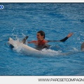 Marineland - Dauphins - Spectacle 14h45 - 0031