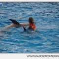 Marineland - Dauphins - Spectacle 14h45 - 0033