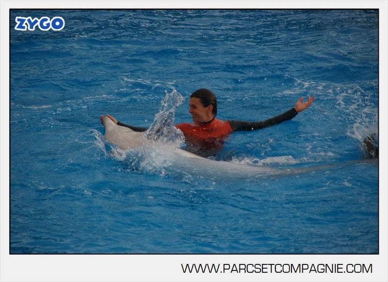 Marineland - Dauphins - Spectacle 14h45 - 0035