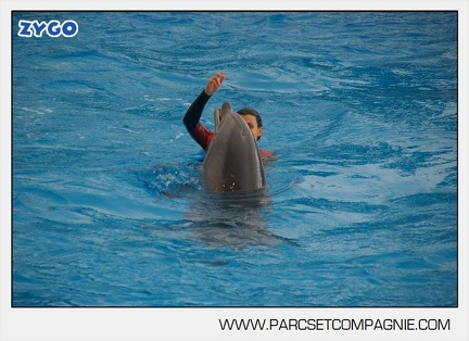 Marineland - Dauphins - Spectacle 14h45 - 0037
