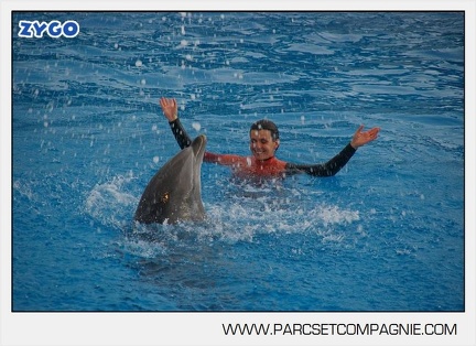 Marineland - Dauphins - Spectacle 14h45 - 0038