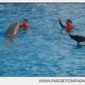 Marineland - Dauphins - Spectacle 14h45 - 0039