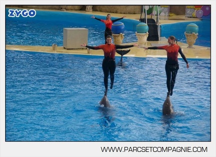 Marineland - Dauphins - Spectacle 14h45 - 0040
