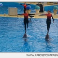 Marineland - Dauphins - Spectacle 14h45 - 0041