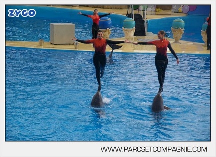Marineland - Dauphins - Spectacle 14h45 - 0042