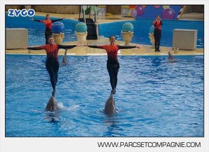 Marineland - Dauphins - Spectacle 14h45 - 0043