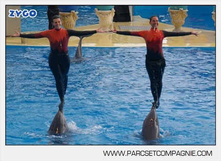 Marineland - Dauphins - Spectacle 14h45 - 0044