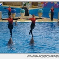 Marineland - Dauphins - Spectacle 14h45 - 0045