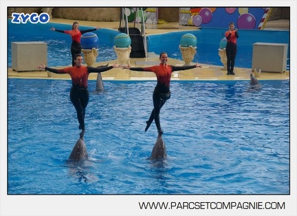 Marineland - Dauphins - Spectacle 14h45 - 0045