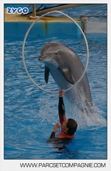 Marineland - Dauphins - Spectacle 14h45 - 0046
