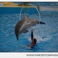 Marineland - Dauphins - Spectacle 14h45 - 0047