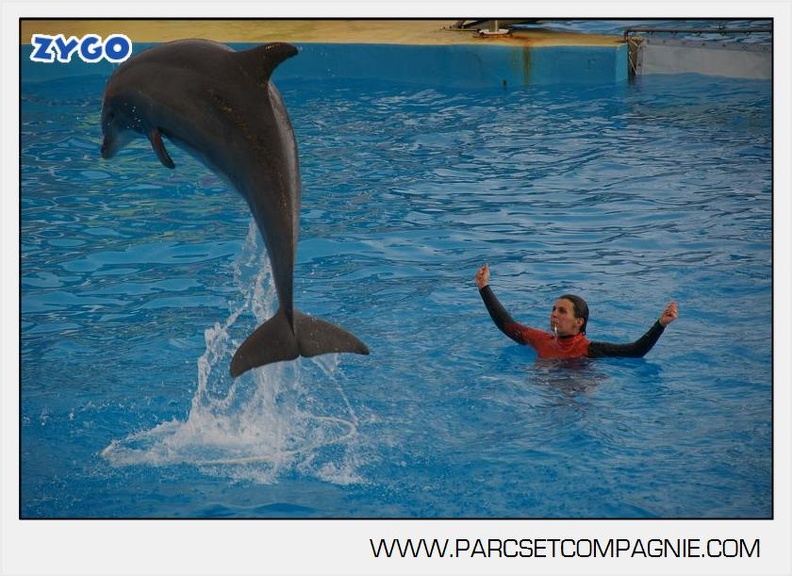 Marineland - Dauphins - Spectacle 14h45 - 0048