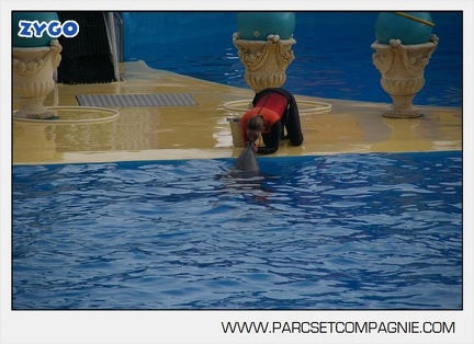 Marineland - Dauphins - Spectacle 14h45 - 0050
