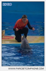 Marineland - Dauphins - Spectacle 14h45 - 0051