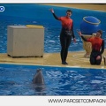 Marineland - Dauphins - Spectacle 14h45 - 0052