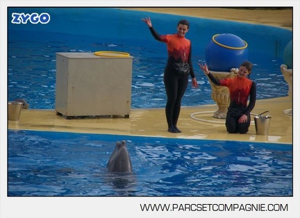 Marineland - Dauphins - Spectacle 14h45 - 0052