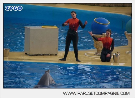 Marineland - Dauphins - Spectacle 14h45 - 0053