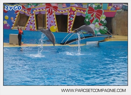 Marineland - Dauphins - Spectacle 14h45 - 0055