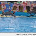 Marineland - Dauphins - Spectacle 14h45 - 0056