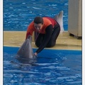 Marineland - Dauphins - Spectacle 14h45 - 0058