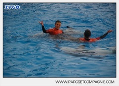 Marineland - Dauphins - Spectacle 14h45 - 0059