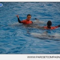 Marineland - Dauphins - Spectacle 14h45 - 0059