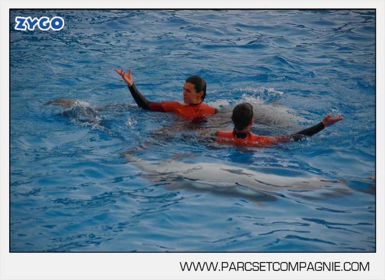 Marineland - Dauphins - Spectacle 14h45 - 0060