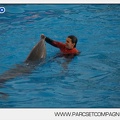 Marineland - Dauphins - Spectacle 14h45 - 0062
