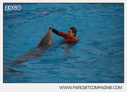Marineland - Dauphins - Spectacle 14h45 - 0062