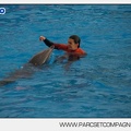 Marineland - Dauphins - Spectacle 14h45 - 0063