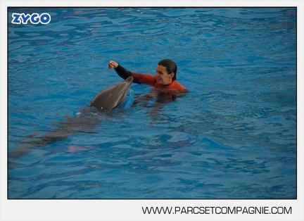 Marineland - Dauphins - Spectacle 14h45 - 0063