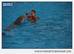Marineland - Dauphins - Spectacle 14h45 - 0064