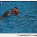 Marineland - Dauphins - Spectacle 14h45 - 0064