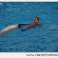 Marineland - Dauphins - Spectacle 14h45 - 0065