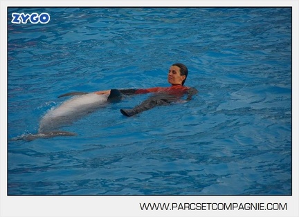 Marineland - Dauphins - Spectacle 14h45 - 0065