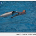 Marineland - Dauphins - Spectacle 14h45 - 0066