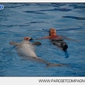 Marineland - Dauphins - Spectacle 14h45 - 0067