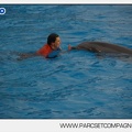 Marineland - Dauphins - Spectacle 14h45 - 0068