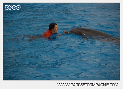 Marineland - Dauphins - Spectacle 14h45 - 0068