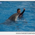 Marineland - Dauphins - Spectacle 14h45 - 0069